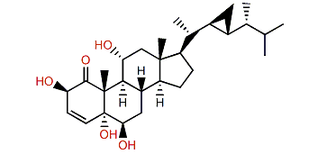 Stoloniferone S